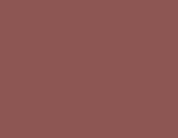ЛДСП Красно-коричневый Эггер U335 ST9